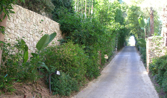 MVW General Contractors Inc. — Stone Wall Driveway & Landscape